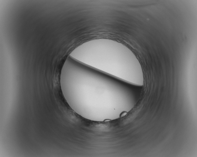 X0000114590236200910191040