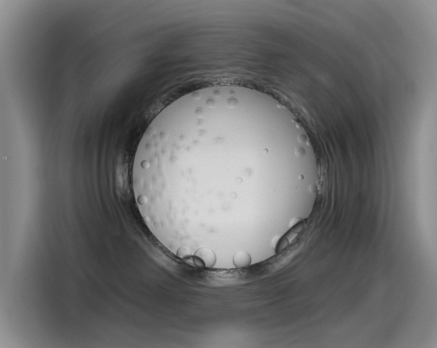 X0000114590238200910191040