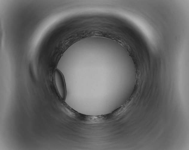 X0000114590239200910191040