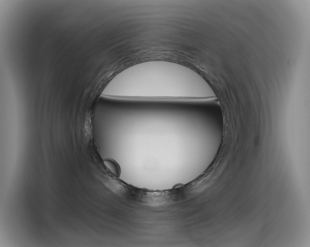 X0000114590240200910191040
