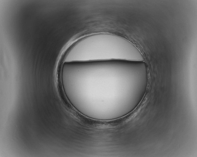 X0000114590246200910191040