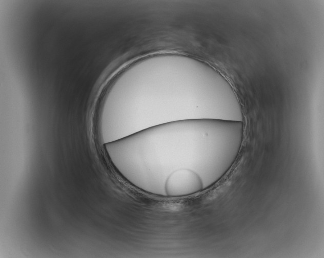 X0000114590247200910191040