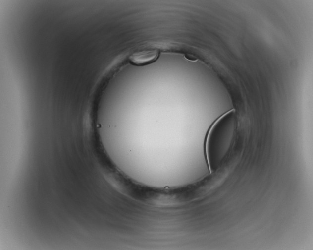 X0000114590256200910191040