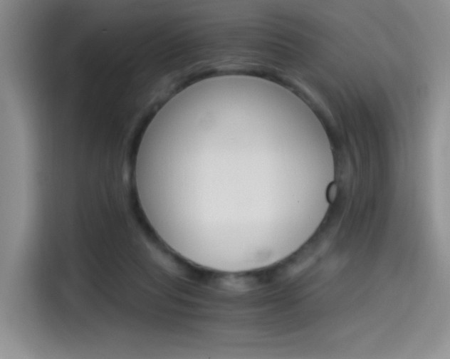 X0000114590261200910191040