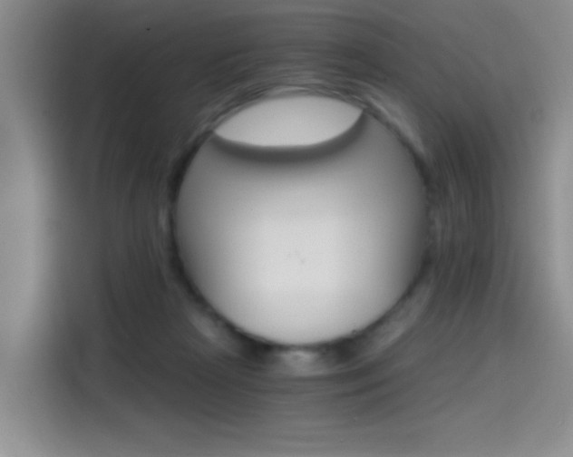 X0000114590265200910191040