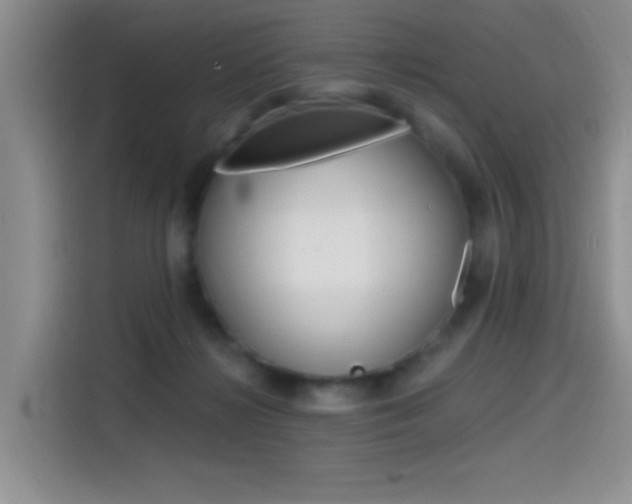 X0000114590268200910191040