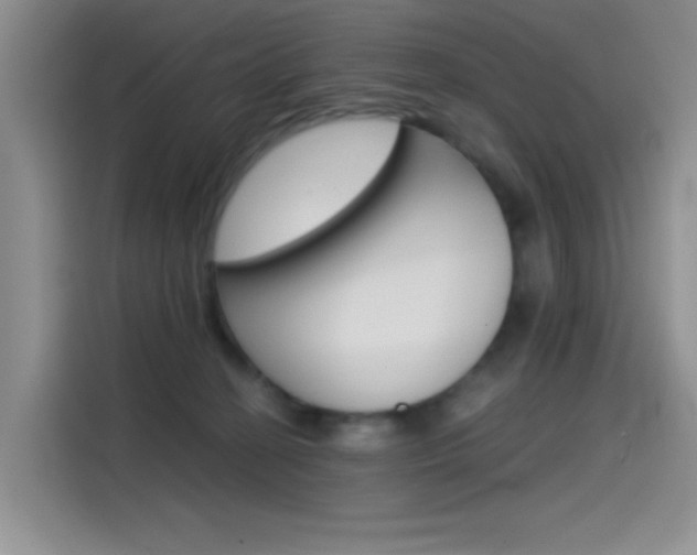 X0000114590274200910191040