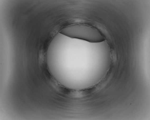 X0000114590276200910191040