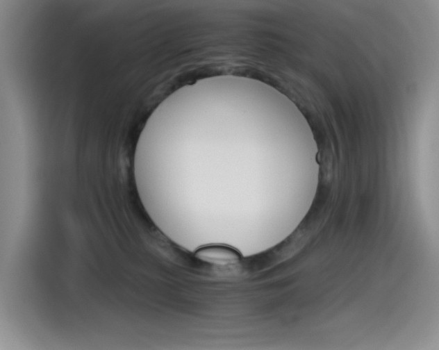 X0000114590279200910191040