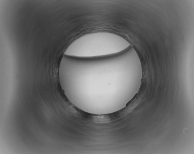 X0000114590281200910191040