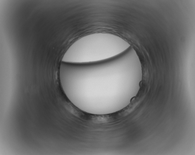 X0000114590282200910191040