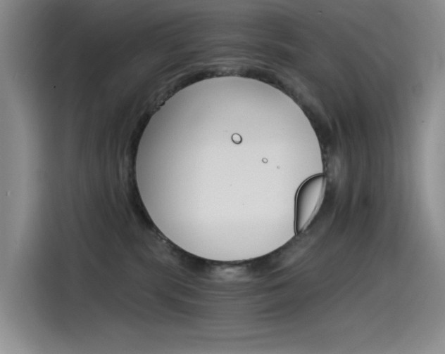 X0000114590283200910191040