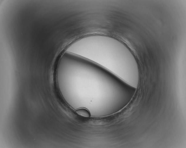 X0000114590299200910191039