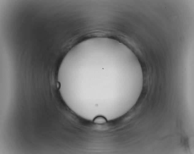 X0000114590317200910191039