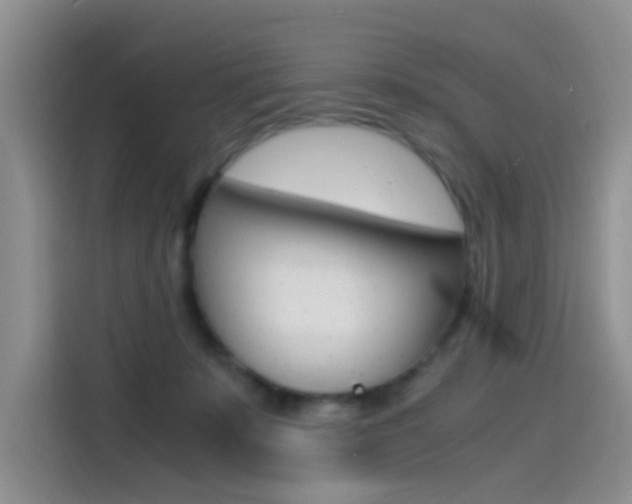 X0000114590319200910191039