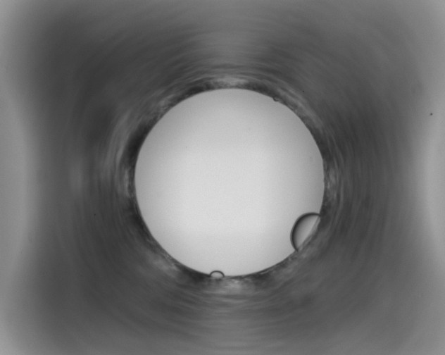 X0000114590330200910191039