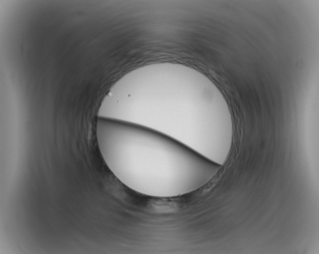 X0000114590331200910191039
