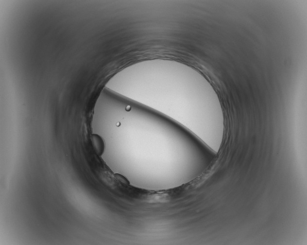 X0000114590333200910191039