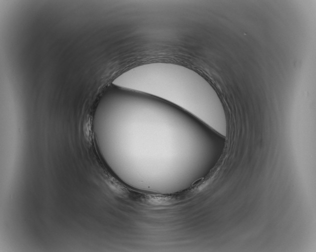 X0000114590336200910191039