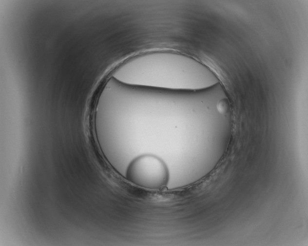 X0000114590346200910191038