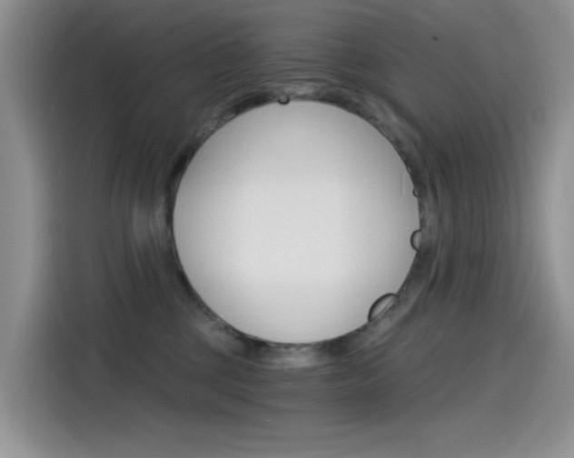 X0000114590377200910191039