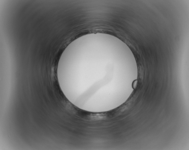 X0000114590378200910191039