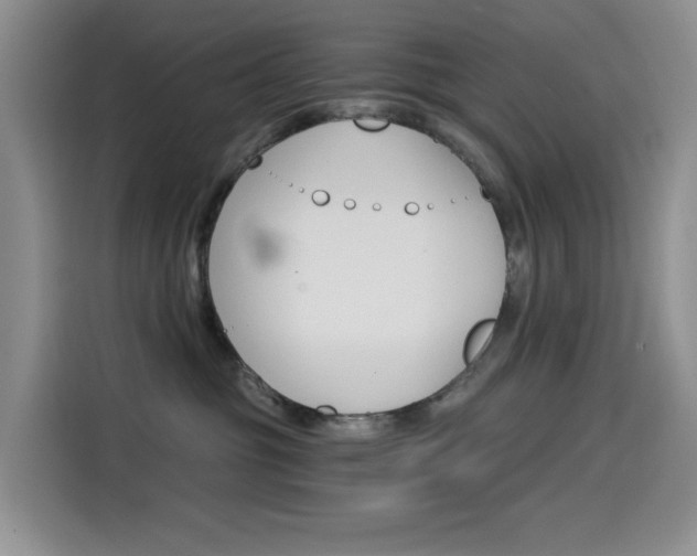 X0000114590381200910191039
