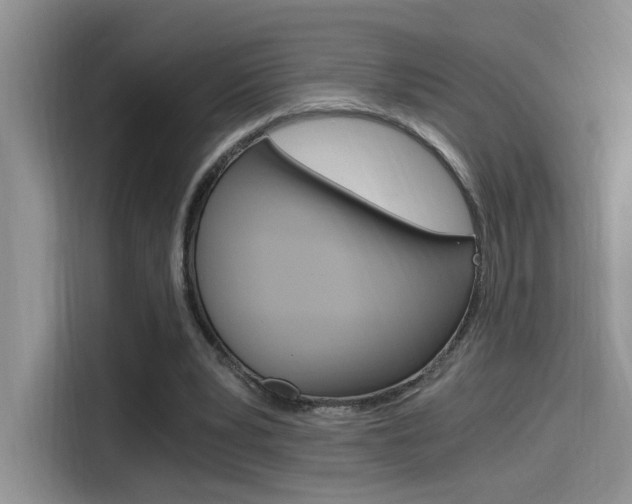 X0000114590391200910191038