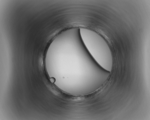X0000114590398200910191038