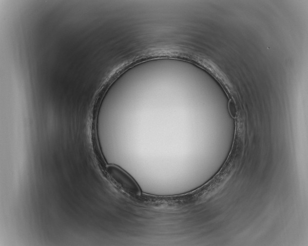 X0000114590434200910191037