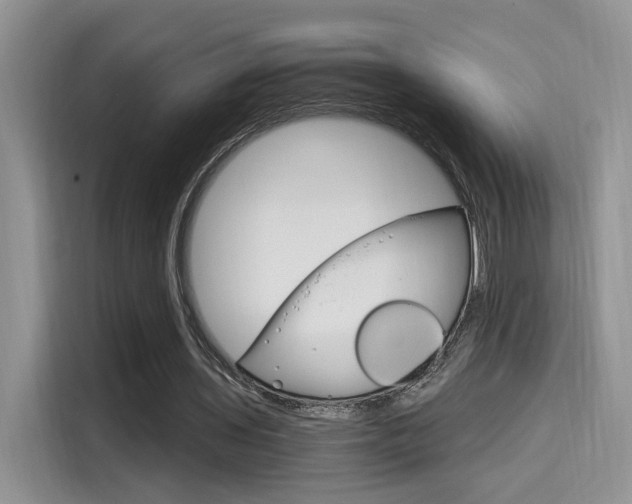 X0000114590435200910191037
