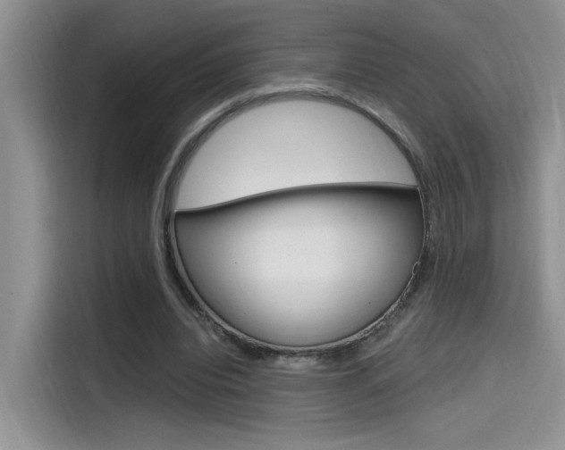 X0000114590440200910191037