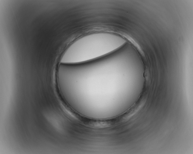 X0000114590445200910191037