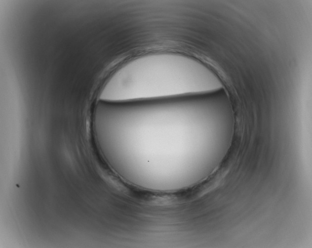 X0000114590446200910191037