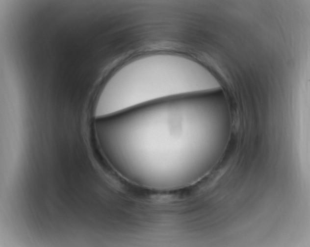 X0000114590448200910191037