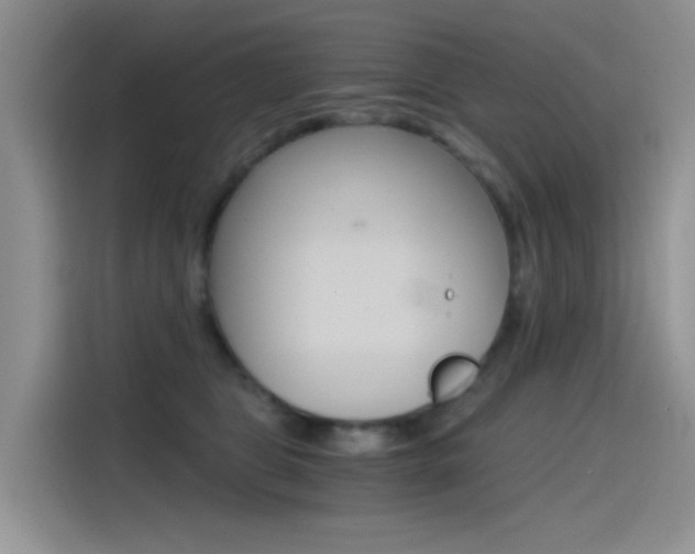X0000114590469200910191037