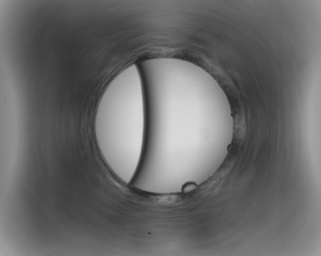 X0000114590474200910191037