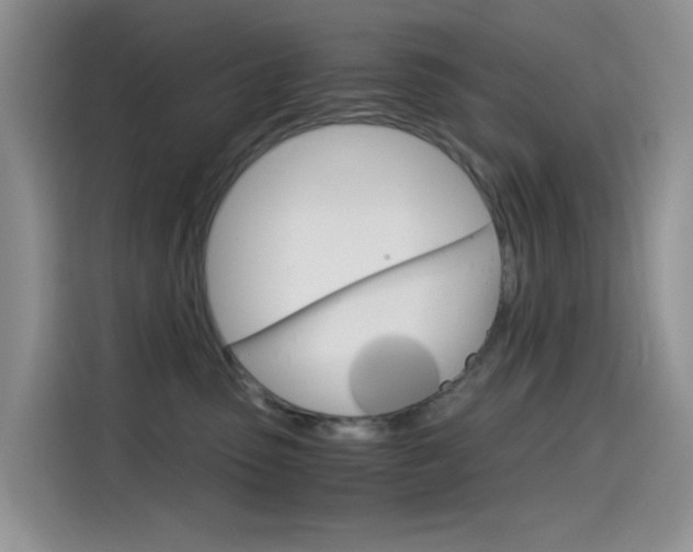 X0000114590475200910191037