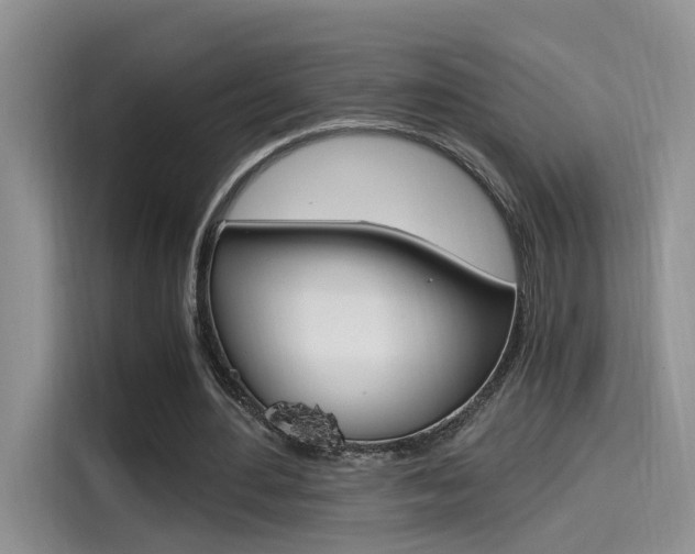 X0000114590484200910191037