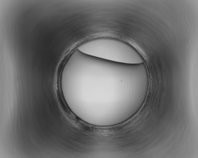 X0000114590486200910191037
