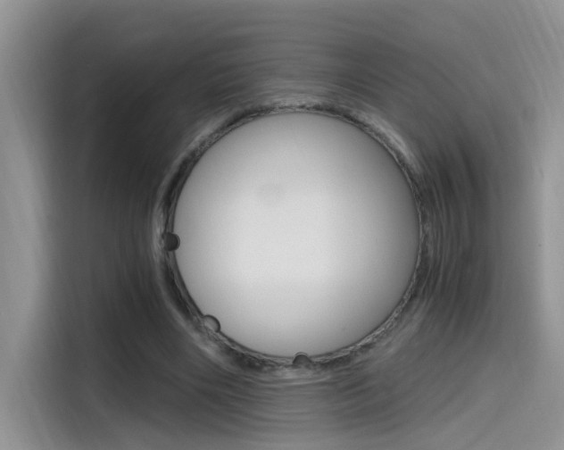 X0000114590490200910191037