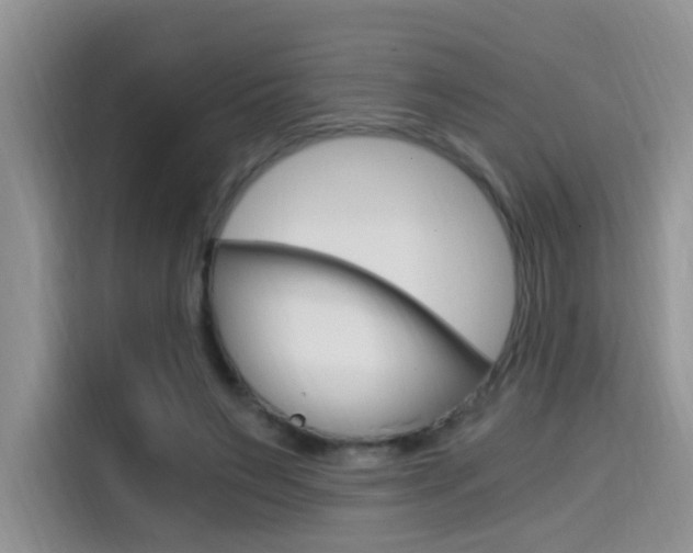 X0000114590495200910191037