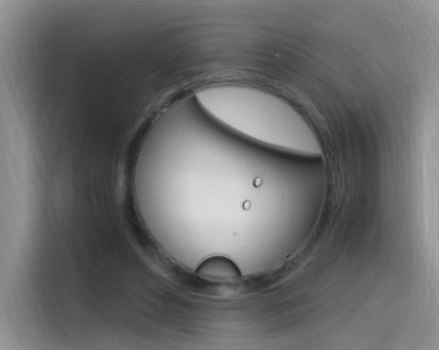 X0000114590496200910191037