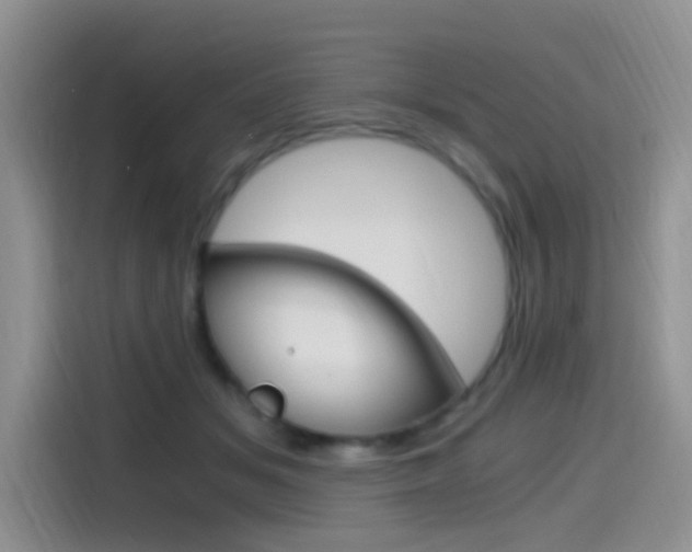 X0000114590509200910191037