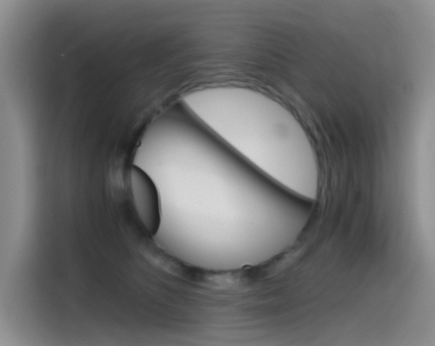 X0000114590516200910191036