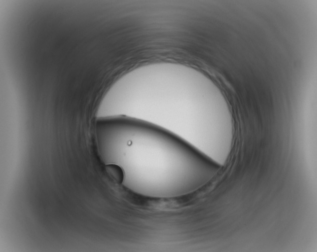 X0000114590517200910191036