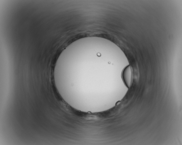 X0000114590519200910191036