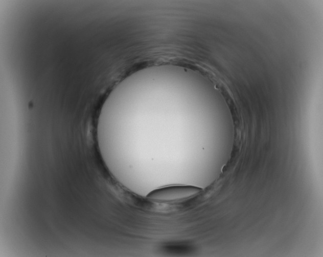 X0000114590520200910191036