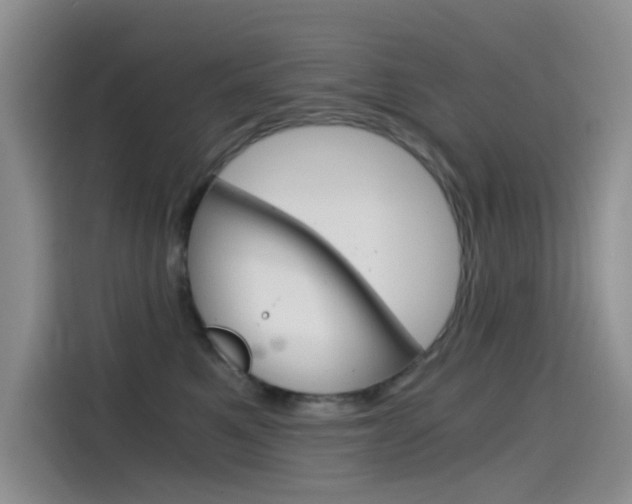 X0000114590521200910191036