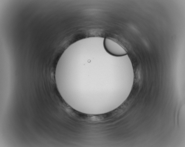 X0000114590522200910191036